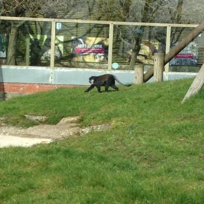 Year 2 Trip to the Zoo