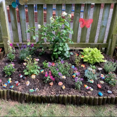 garden6