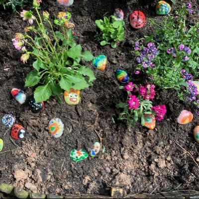 garden7
